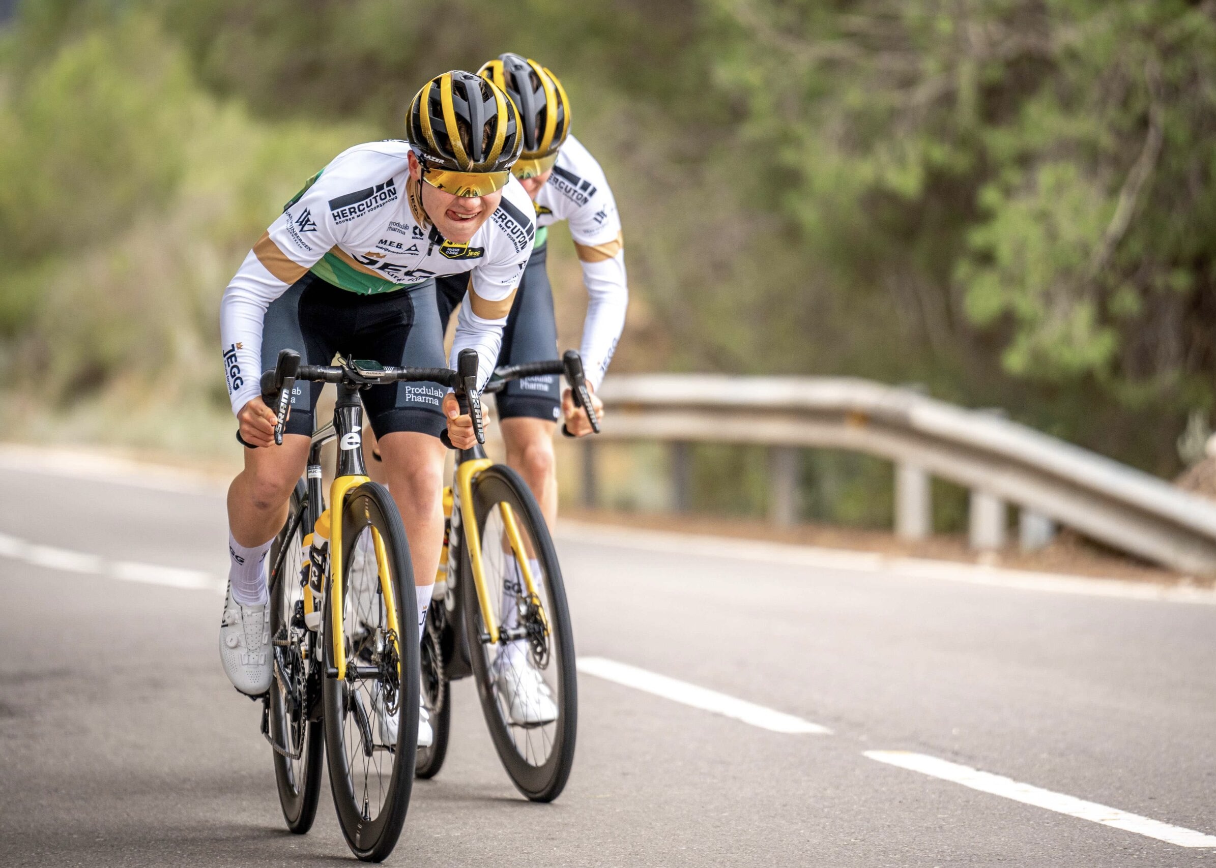 2258BF4C-CC79-42B7-9301-60E1E0701575_1_201_a